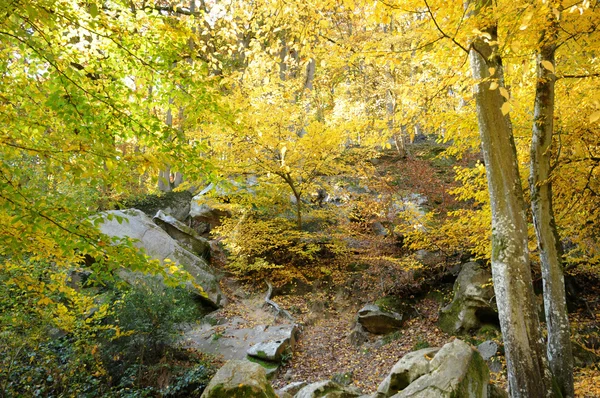 stock image France, Les Vaux de Cernay in Chevreuse valley