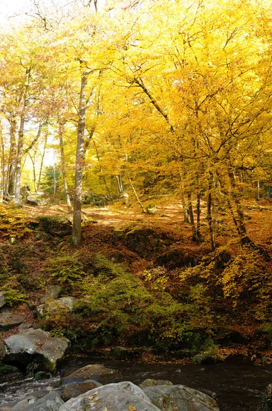 stock image France, Les Vaux de Cernay in Chevreuse valley