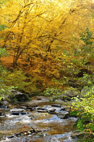 stock image France, Les Vaux de Cernay in Chevreuse valley