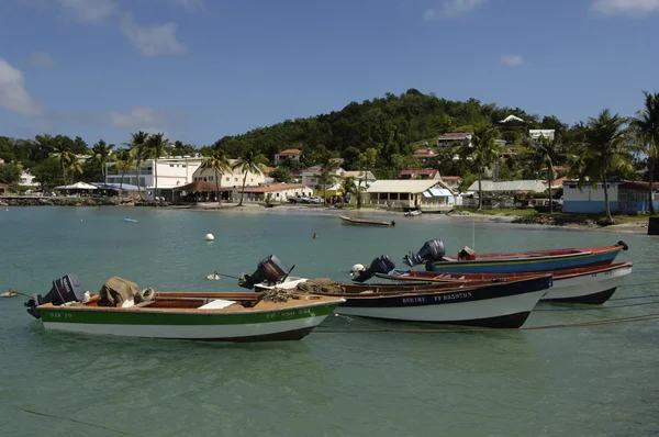 Francie, Martinik, vesnici sainte anne — Stock fotografie