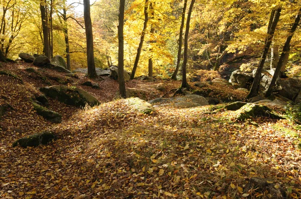 stock image France, Les Vaux de Cernay in Chevreuse valley