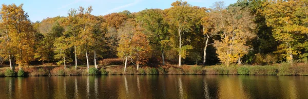 stock image France, les Vaux de Cernay park in autumn