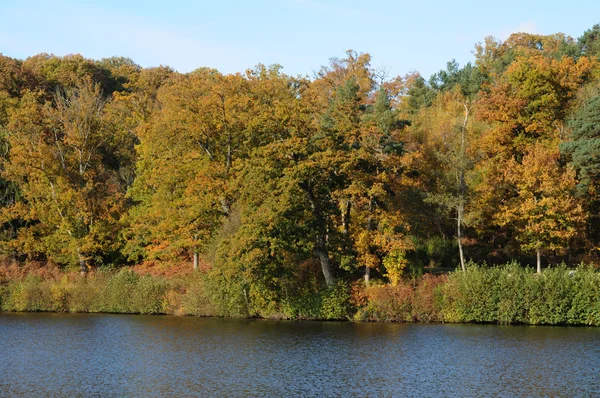 stock image France, les Vaux de Cernay park in autumn