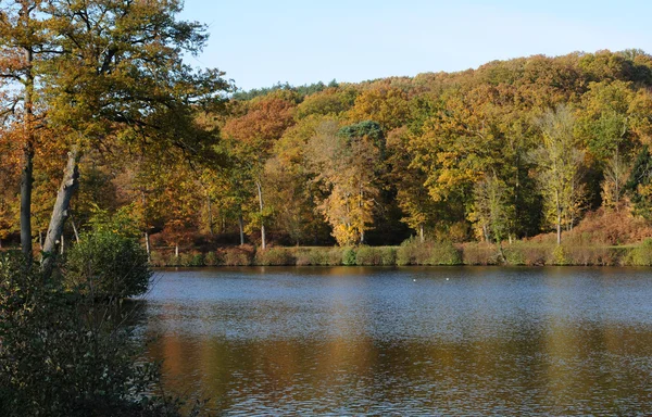 France, les vaux de cernay park im Herbst — Stockfoto