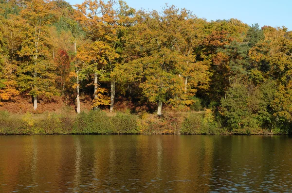 stock image France, les Vaux de Cernay park in autumn