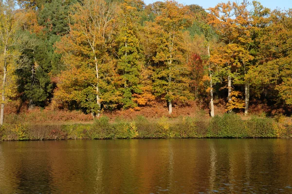 Stock image France, les Vaux de Cernay park in autumn