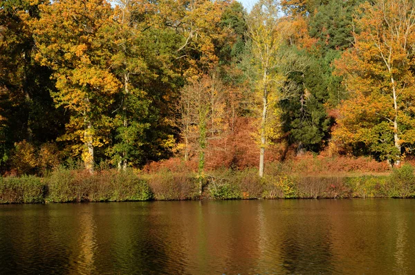 stock image France, les Vaux de Cernay park in autumn