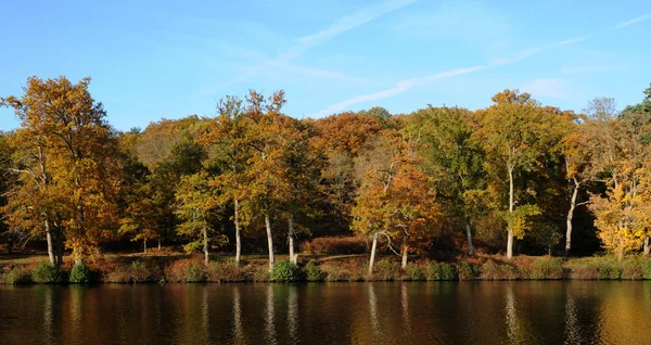 stock image France, les Vaux de Cernay park in autumn