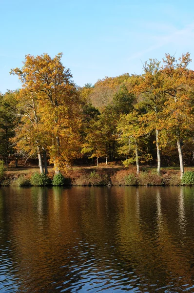 France, parc des Vaux de Cernay en automne — Photo
