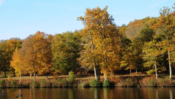 stock image France, les Vaux de Cernay park in autumn