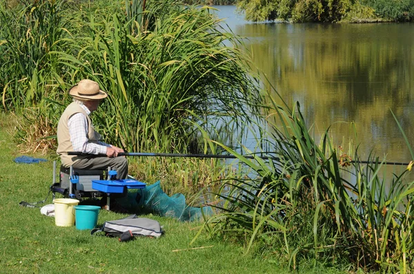 stock image France, Yvelines, le Parc de Sautour in Les Mureaux