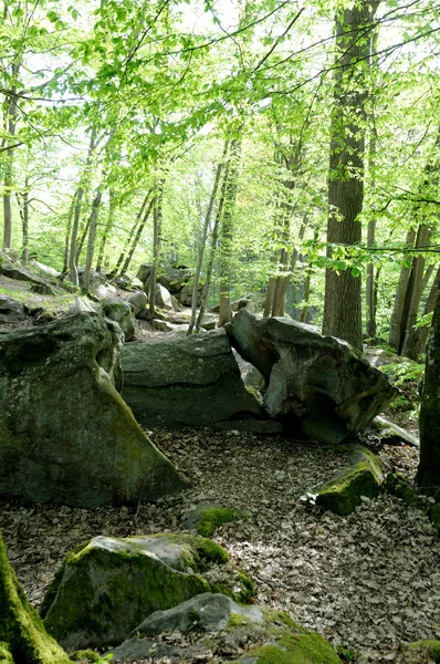 Francia, Les Vaux de Cernay nella valle di Chevreuse — Foto Stock