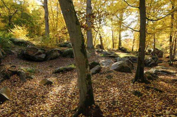 stock image France, Les Vaux de Cernay in Chevreuse valley