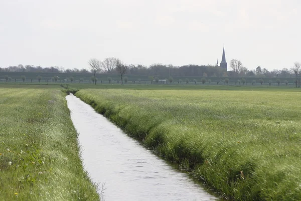 stock image Landschap Nederland platteland