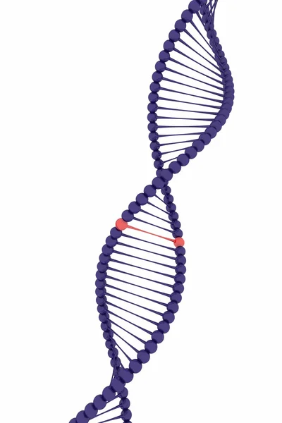 A DNS molekula — Stock Fotó