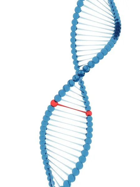 Molécula de ADN Imagem De Stock
