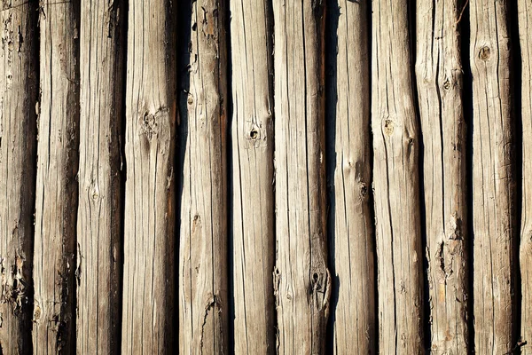 Troncos de madera envejecidos —  Fotos de Stock