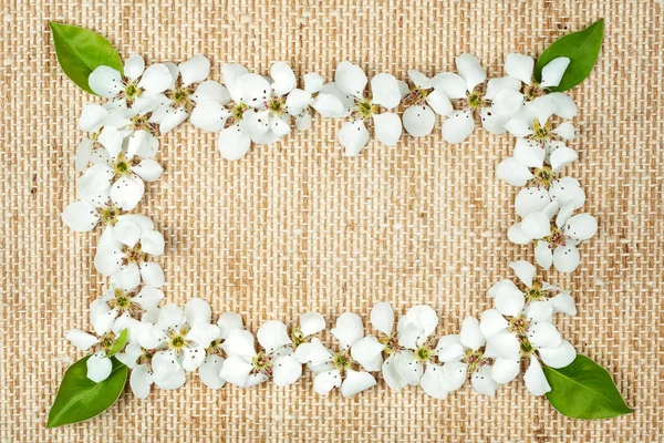 Witte bloemen op jute — Stockfoto