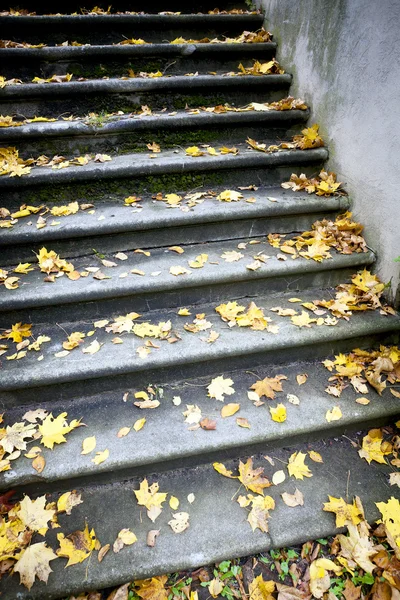 Autumn stairs — Stock Photo, Image