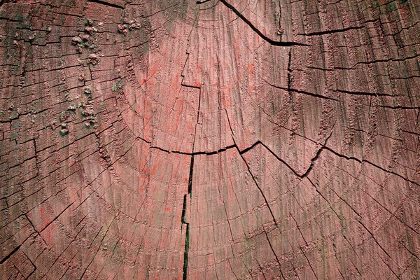 Barna, festett, fa háttér — Stock Fotó