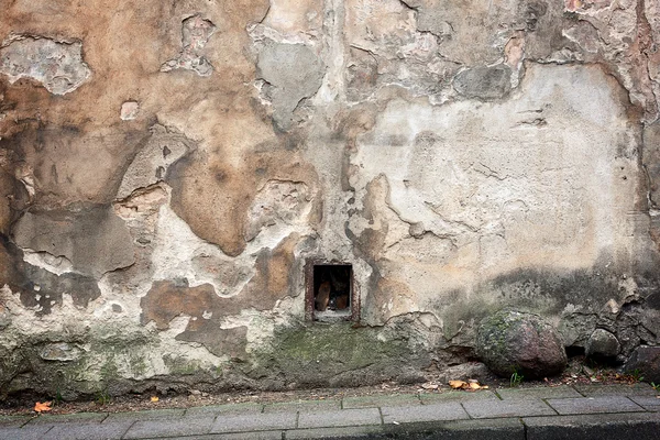 Стареющий фон стены — стоковое фото