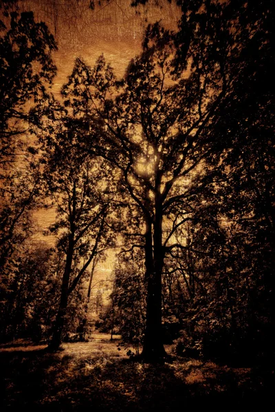 Image grunge d'un arbre — Photo
