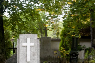 Cemetery in autumn clipart