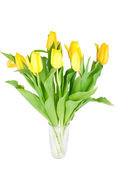 stock image Yellow tulip flowers