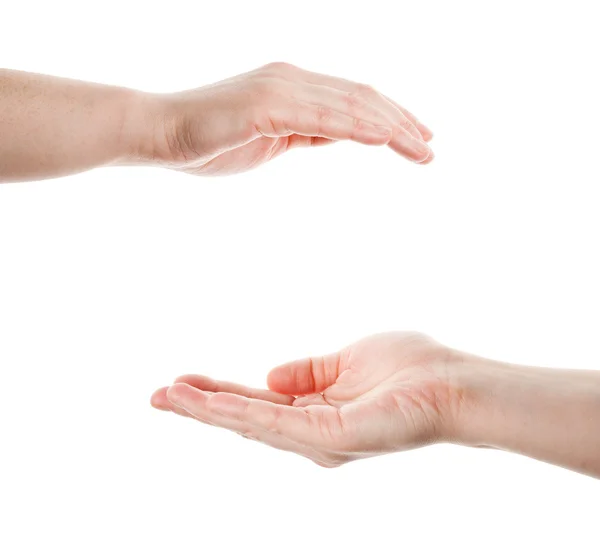 stock image Two cupped hands