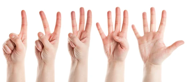 Counting hands — Stock Photo, Image