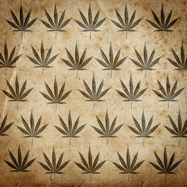 Fondo de papel grueso con hojas de cannabis — Foto de Stock