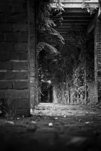 stock image Black and White Hallway