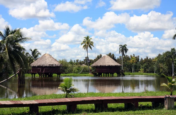 stock image Guama lake in cuba II