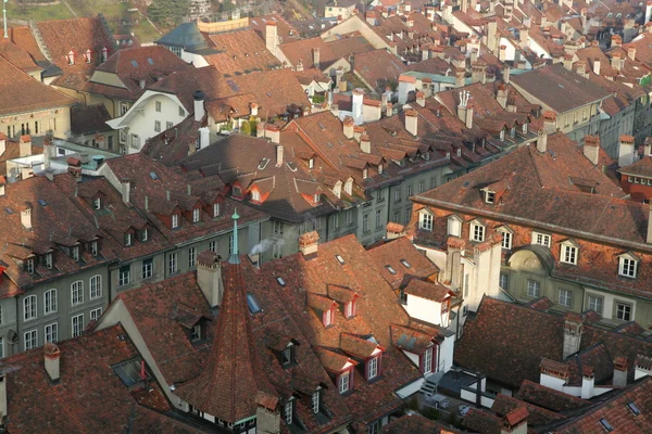 stock image View from cathedral tower II (detail)