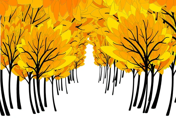秋の色の森と copyspace — ストック写真