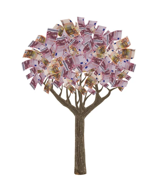 Árvore de notas de euro isolada sobre branco — Fotografia de Stock