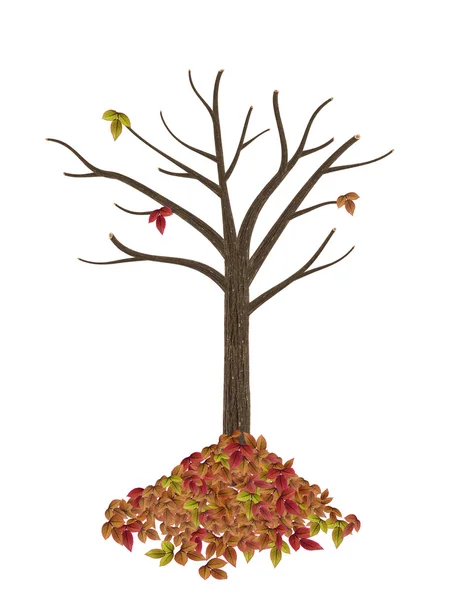 Kvalitní podzimní strom izolovaných na bílém — Stock fotografie
