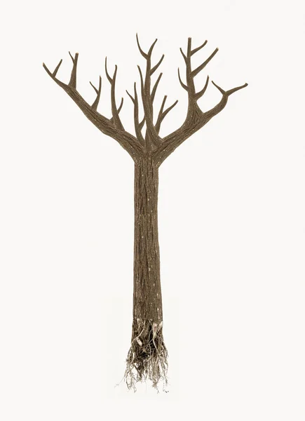 Wysokiej jakości martwe drzewa z korzeniami, na białym tle — Zdjęcie stockowe