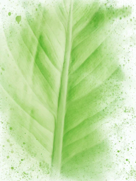 Vertical painted green leaf abstract background — Stock Photo, Image