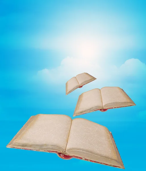 stock image Three empty books flyng in the sky