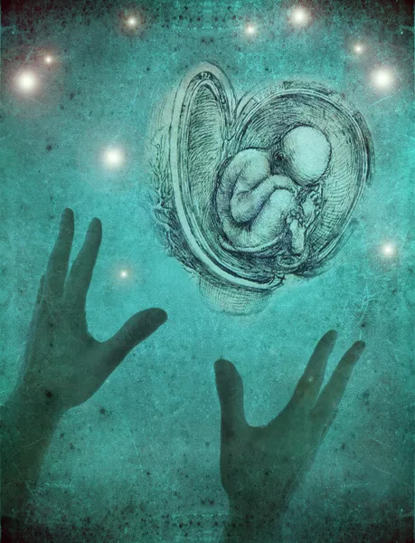 Mão mantendo o feto no fundo azul Imagens De Bancos De Imagens