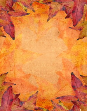 Dry leaves background clipart