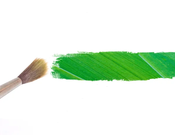 Paintbrush and green leave stripe — Stock Photo, Image