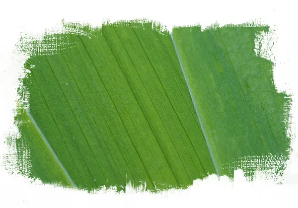 Pintura verde fundo abstrato — Fotografia de Stock