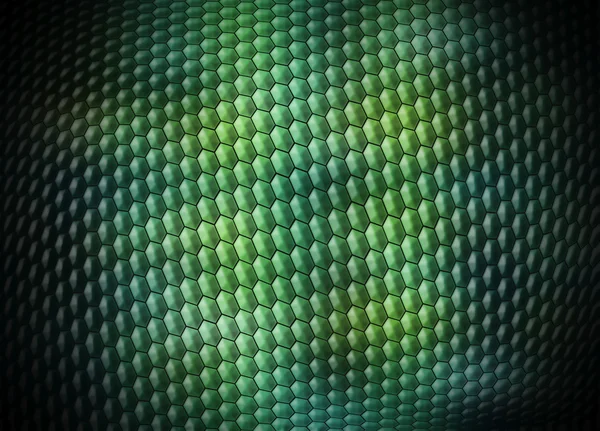 Farbige digitale Schlangenhaut Hintergrund — Stockfoto
