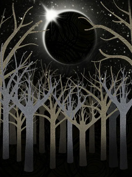 Gruseliger Wald in der Nacht — Stockfoto