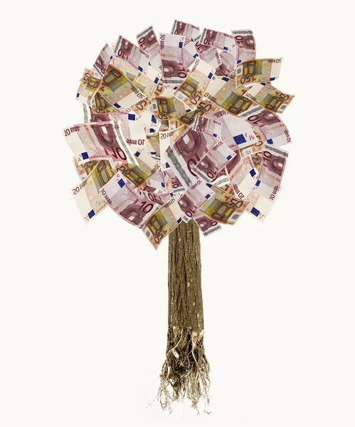 Izolované euro bankovek strom s kořeny — Stock fotografie