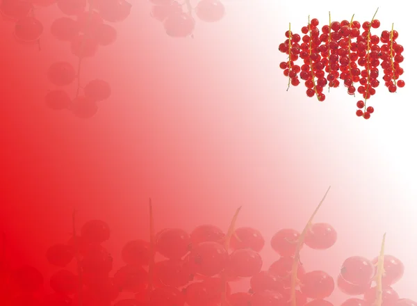 Спелые красные ребрышки на фоне абстрактных фруктов — стоковое фото