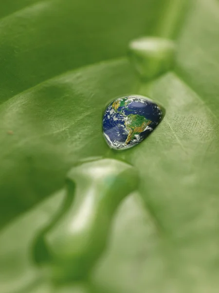 Earth in water drops on a green leaf — Stock Photo, Image