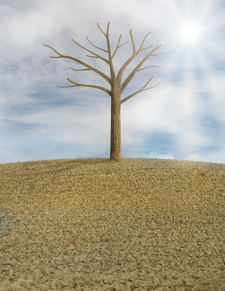 One lonely tree in a dry plowed field — Stock Photo, Image